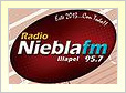 Radio Niebla en vivo online de Illapel